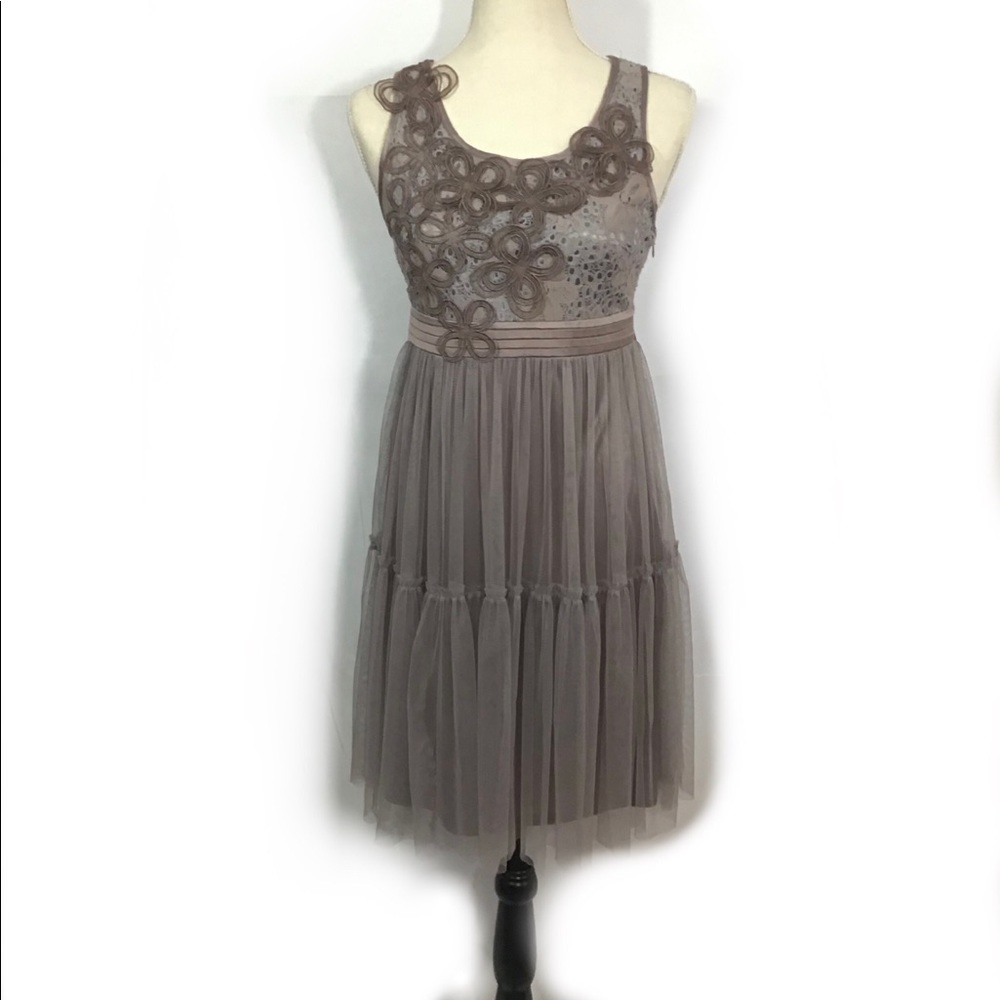 Beautiful Rye Lace and Tulle Dress